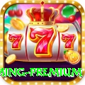 poker Gaming Premium